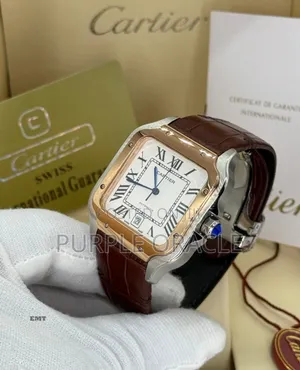 Santos De Cartier Leather Wristwatch.