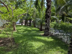 8bdrm House in Cantonments for rent