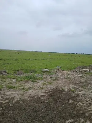 Deluxe but Affordable Land for Sale at Tsopoli