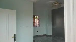 Professional Painter