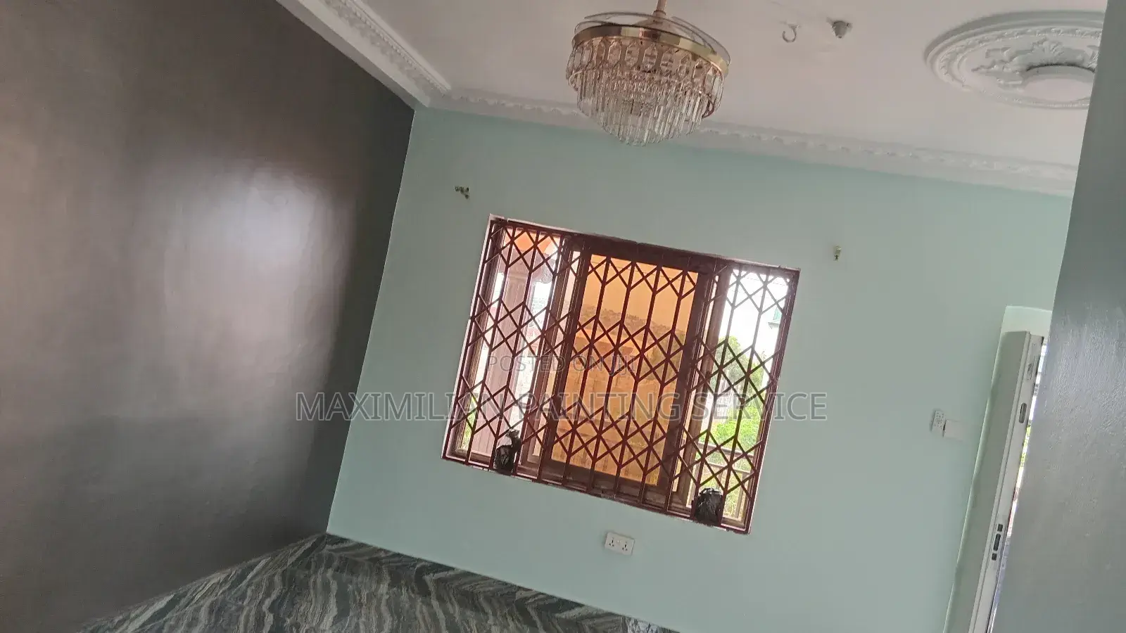 Professional Painter