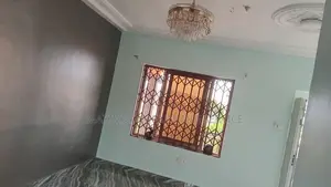Professional Painter