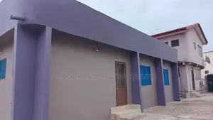 Professional Painter