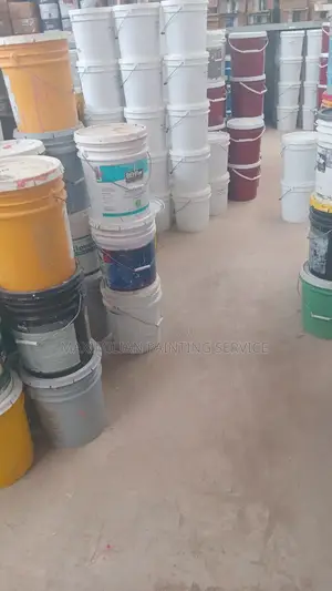 Professional Painter