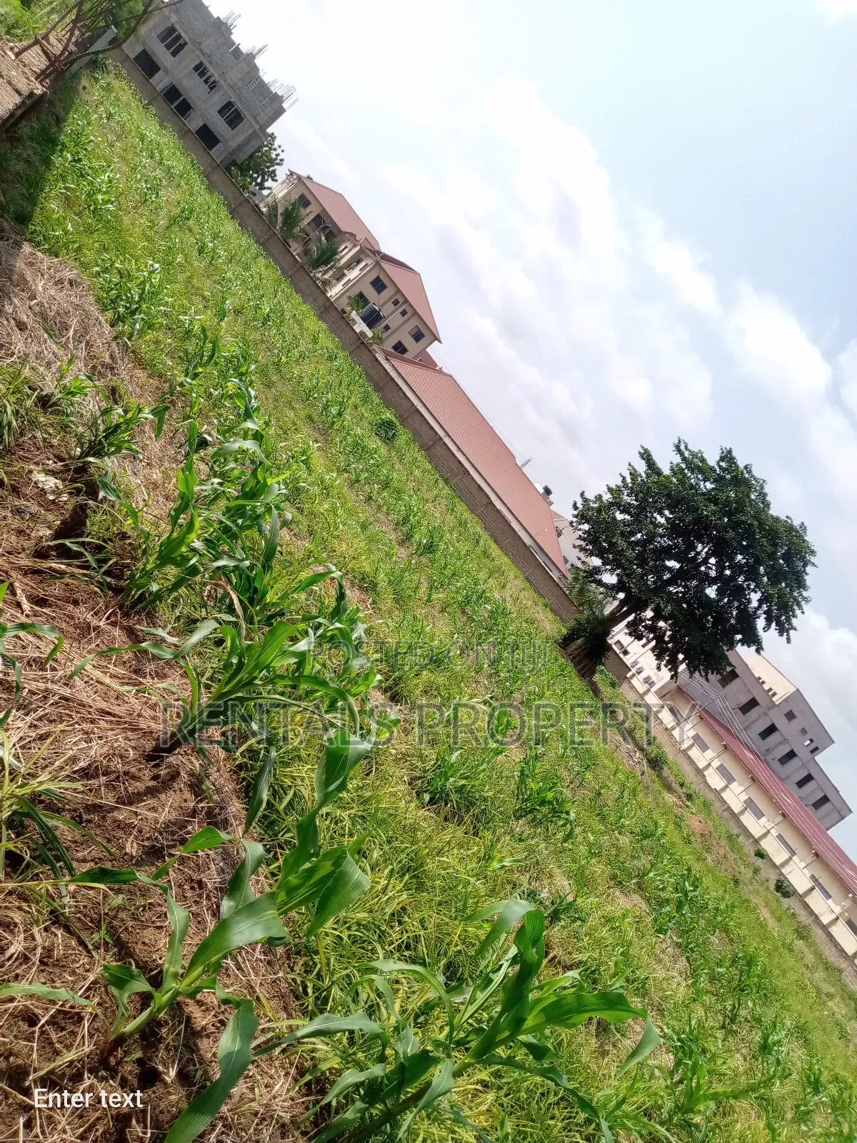 One Plot of Land for Sell