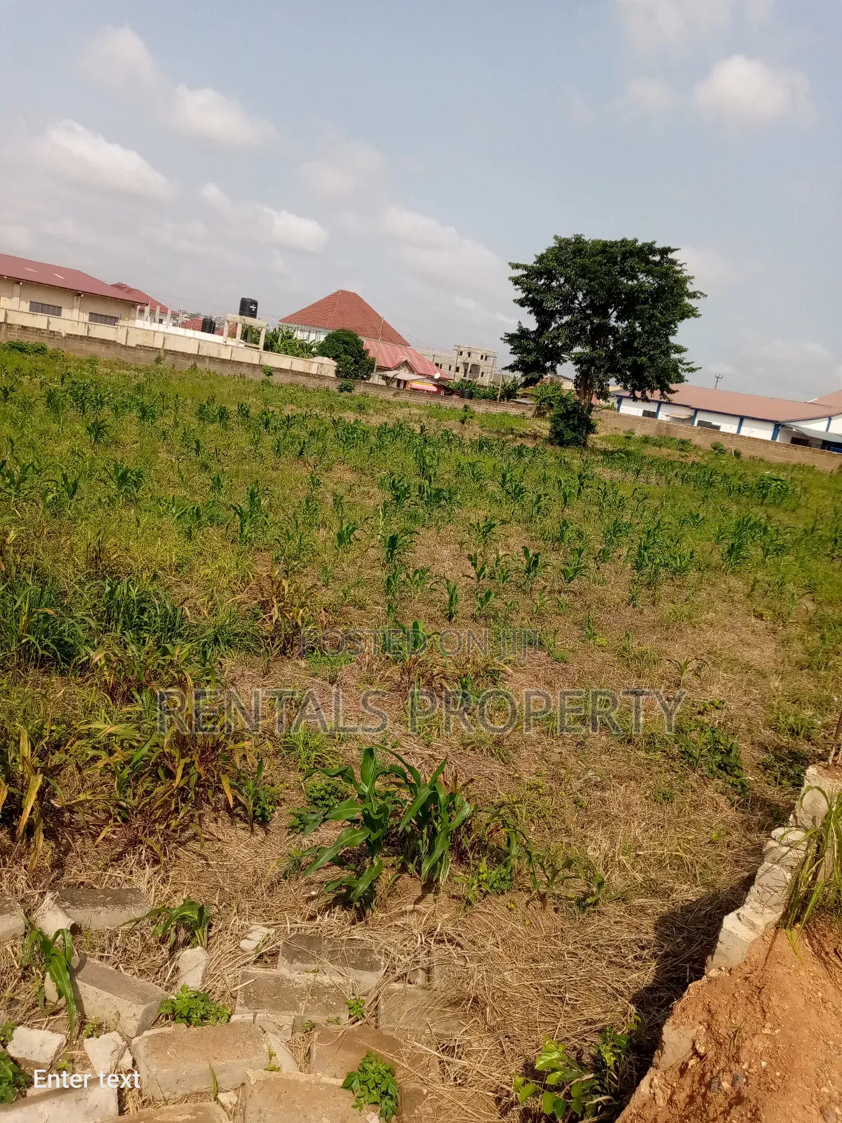 One Plot of Land for Sell