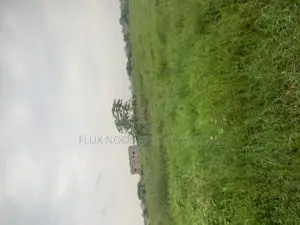Half and Full Plots for Sale