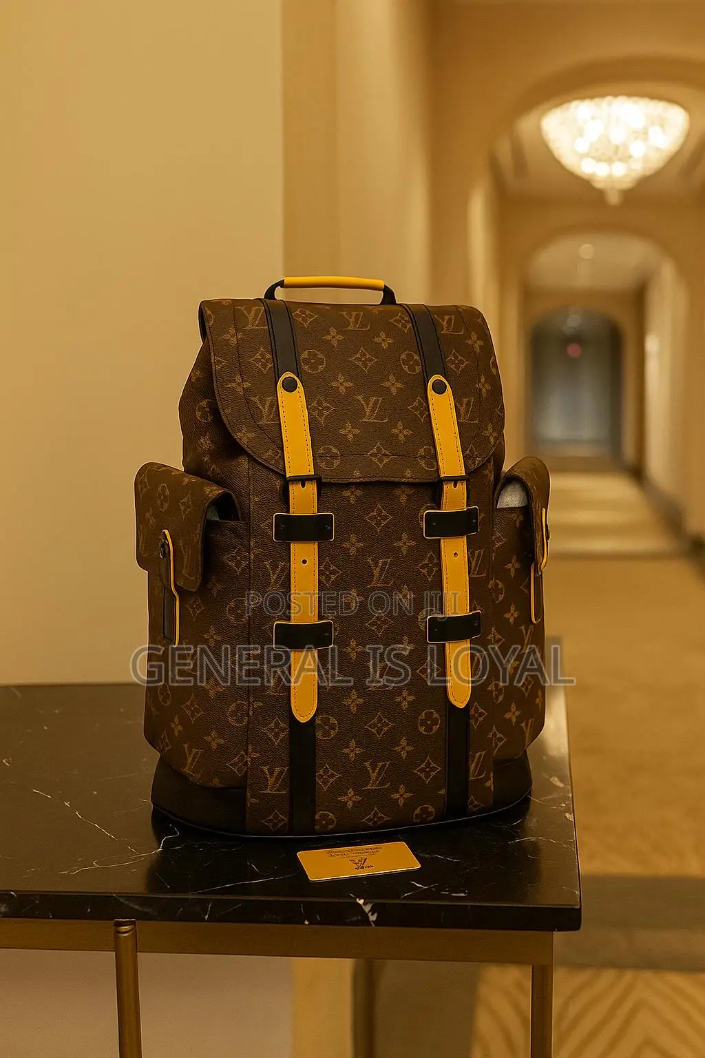 Louis Vuitton Backpack Brown