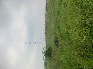 Half Plots of Land for Sale at Amasaman Ayikai Doblo.