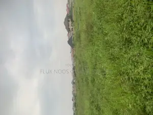 Half Plots of Land for Sale at Amasaman Ayikai Doblo.
