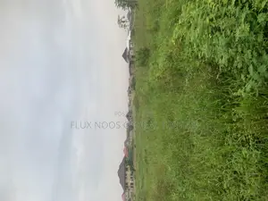 Half Plots of Land for Sale at Amasaman Ayikai Doblo.