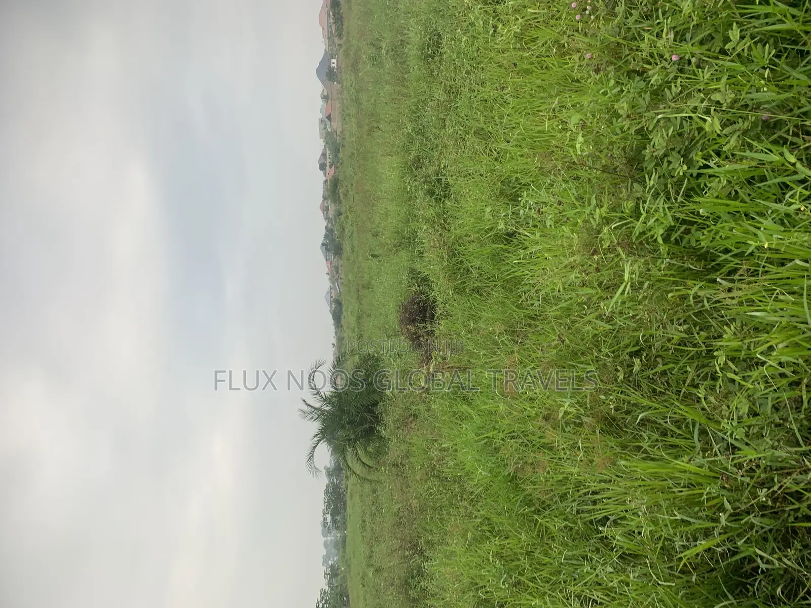 Half Plots of Land for Sale at Amasaman Ayikai Doblo.