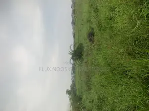 Half Plot for Sale/ Full Plot for Sale No Litigation