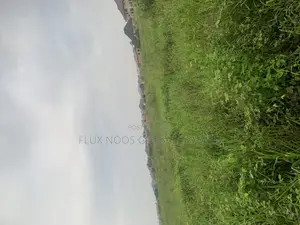 Half Plot for Sale/ Full Plot for Sale No Litigation
