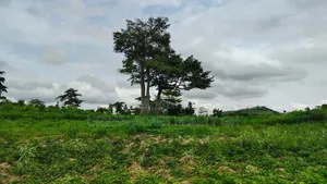 E.R - Akosombo, (Amantana) _ 2 Acres Volta Riverfront Land