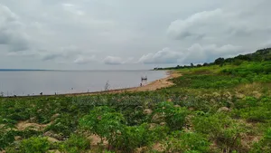 E.R - Akosombo, (Amantana) _ 2 Acres Volta Riverfront Land