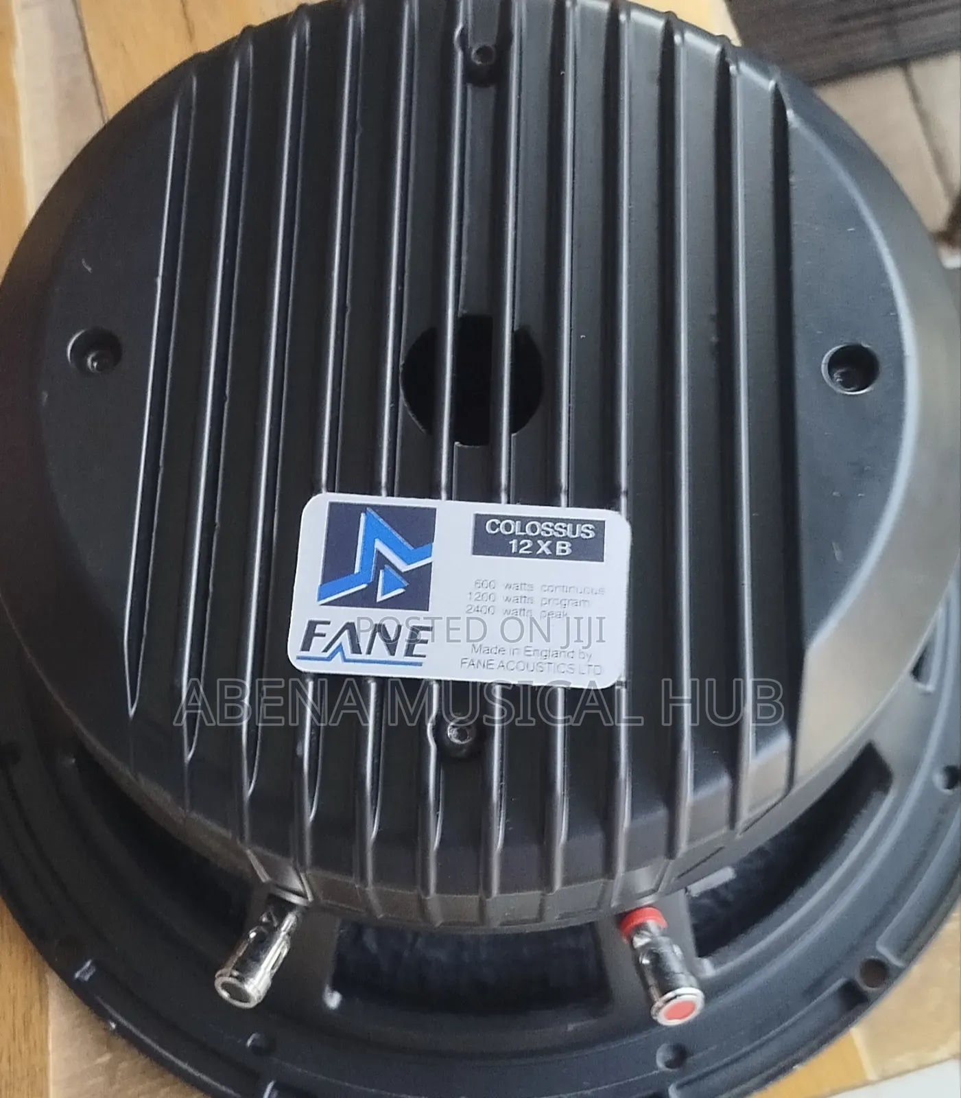 Fane 12 Inches Double Magnet Naked Speaker