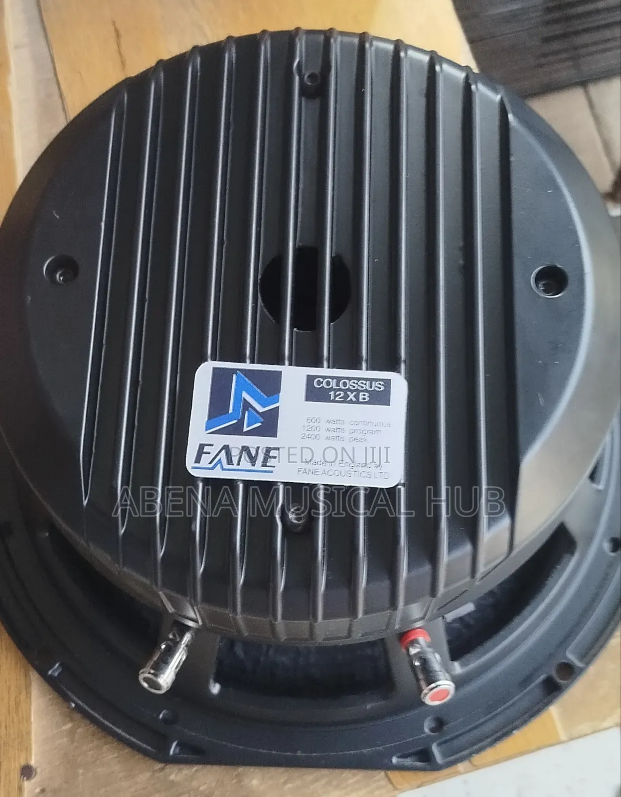 Fane 12 Inches Double Magnet Naked Speaker