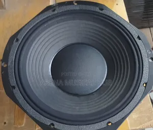 Fane 12 Inches Double Magnet Naked Speaker