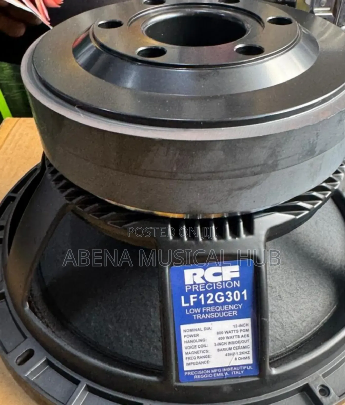 RCF 12-Inches Double Magnet Naked Speaker