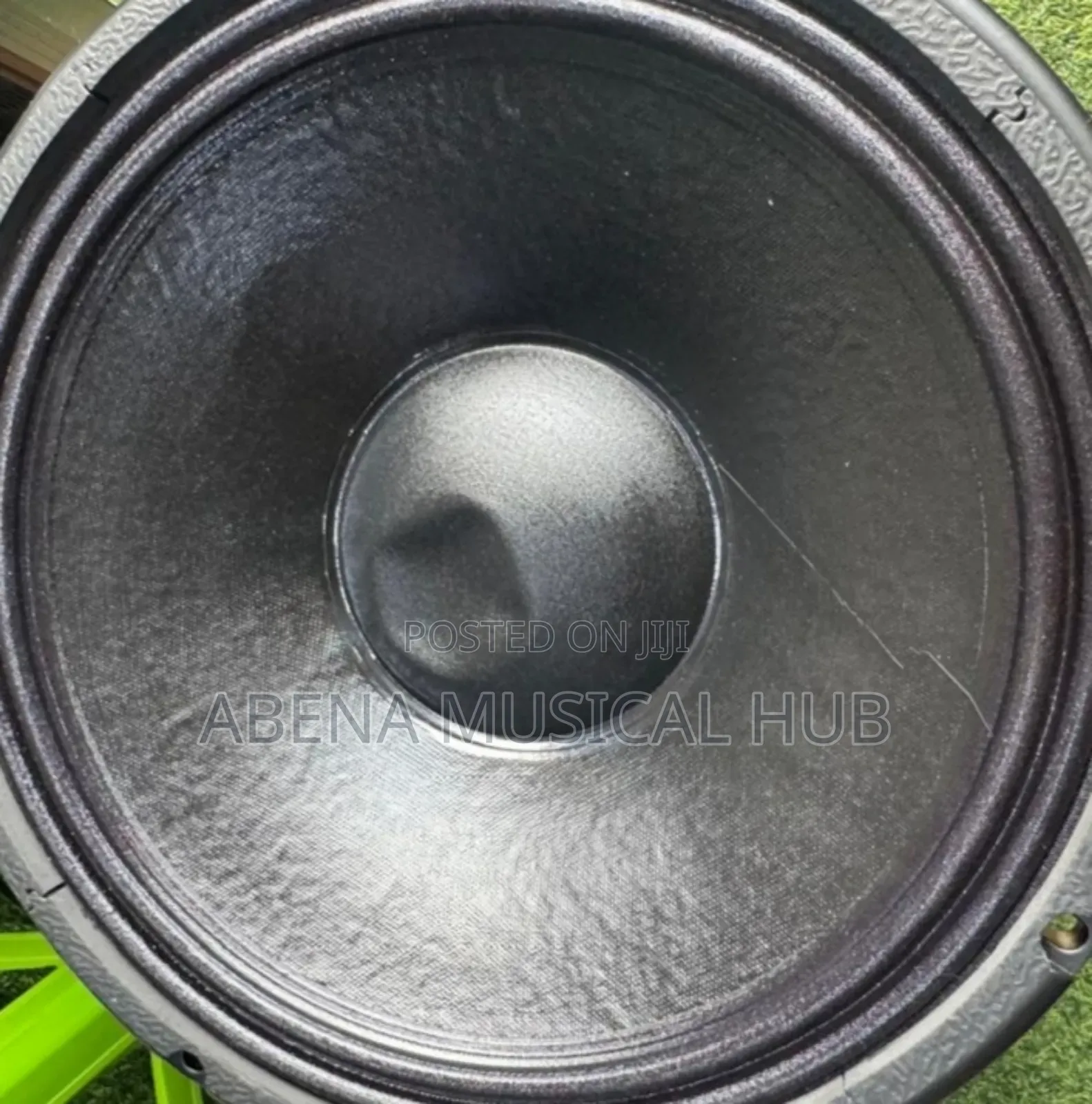 RCF 12-Inches Double Magnet Naked Speaker