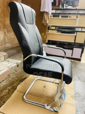 Executive Office Vice Chair