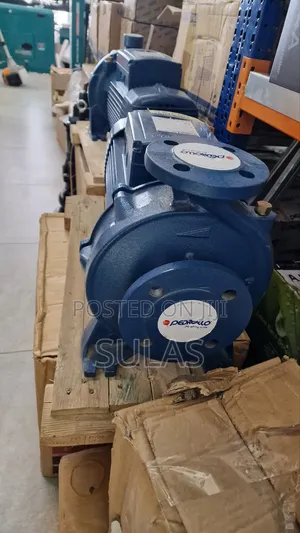 10hp Pedrollo Water Pump