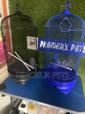 Coon Snapped Parrot and Parakeet Cage