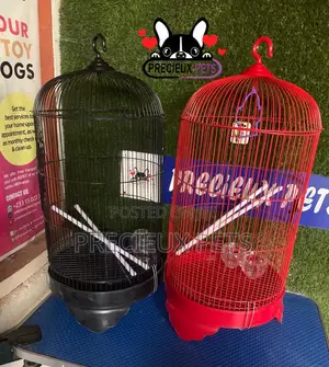 Coon Snapped Parrot and Parakeet Cage
