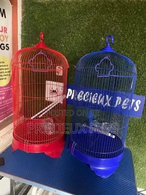 Coon Snapped Parrot and Parakeet Cage