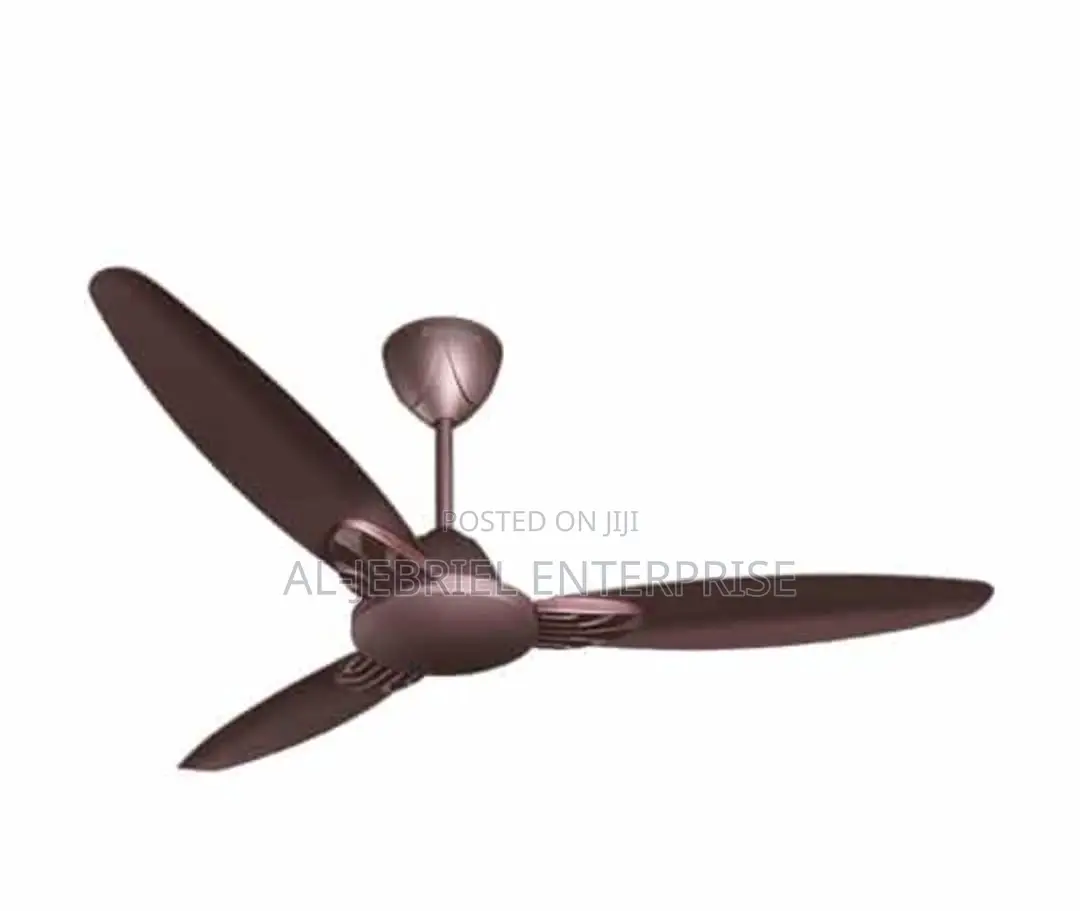 Ceiling Fan