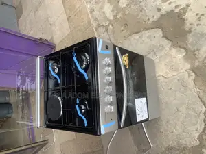 3 Gas 1 Electric Burner
