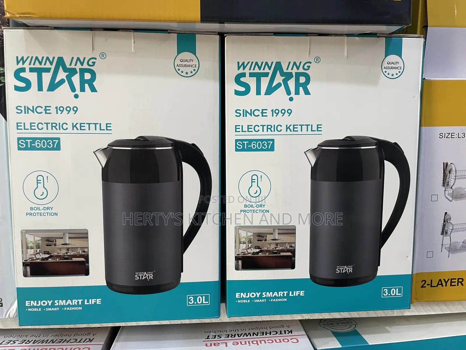 Winning Star Electric Kettle 3.0