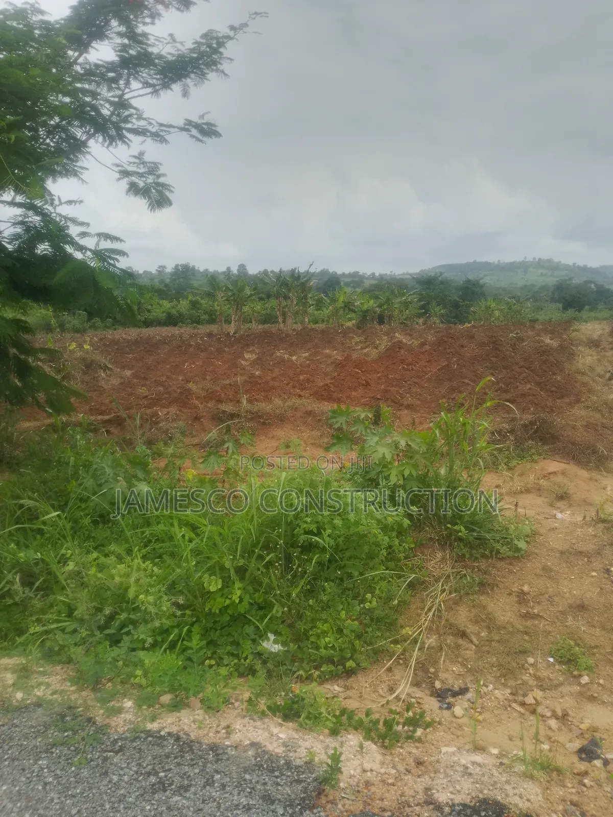 200 Acres of Farmland for Sale Nsawam Otoase _ Manful
