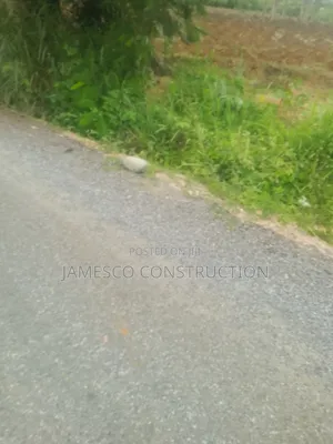 200 Acres of Farmland for Sale Nsawam Otoase _ Manful