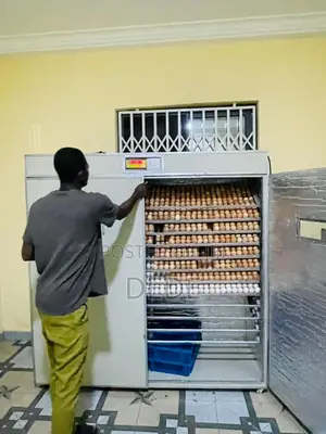 2112 Capacity Egg Incubator