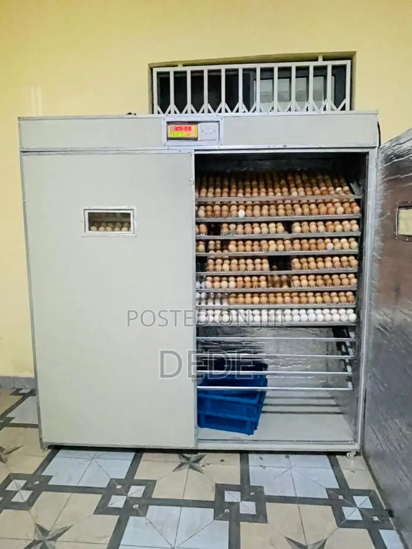 2112 Capacity Egg Incubator