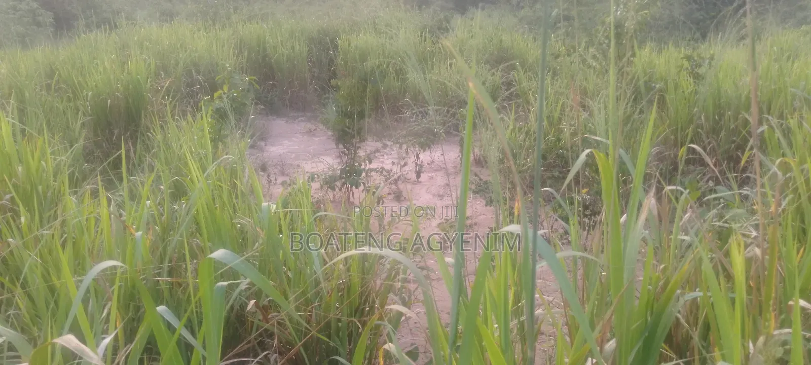 Hot Cake! Half Plot for Sale!!