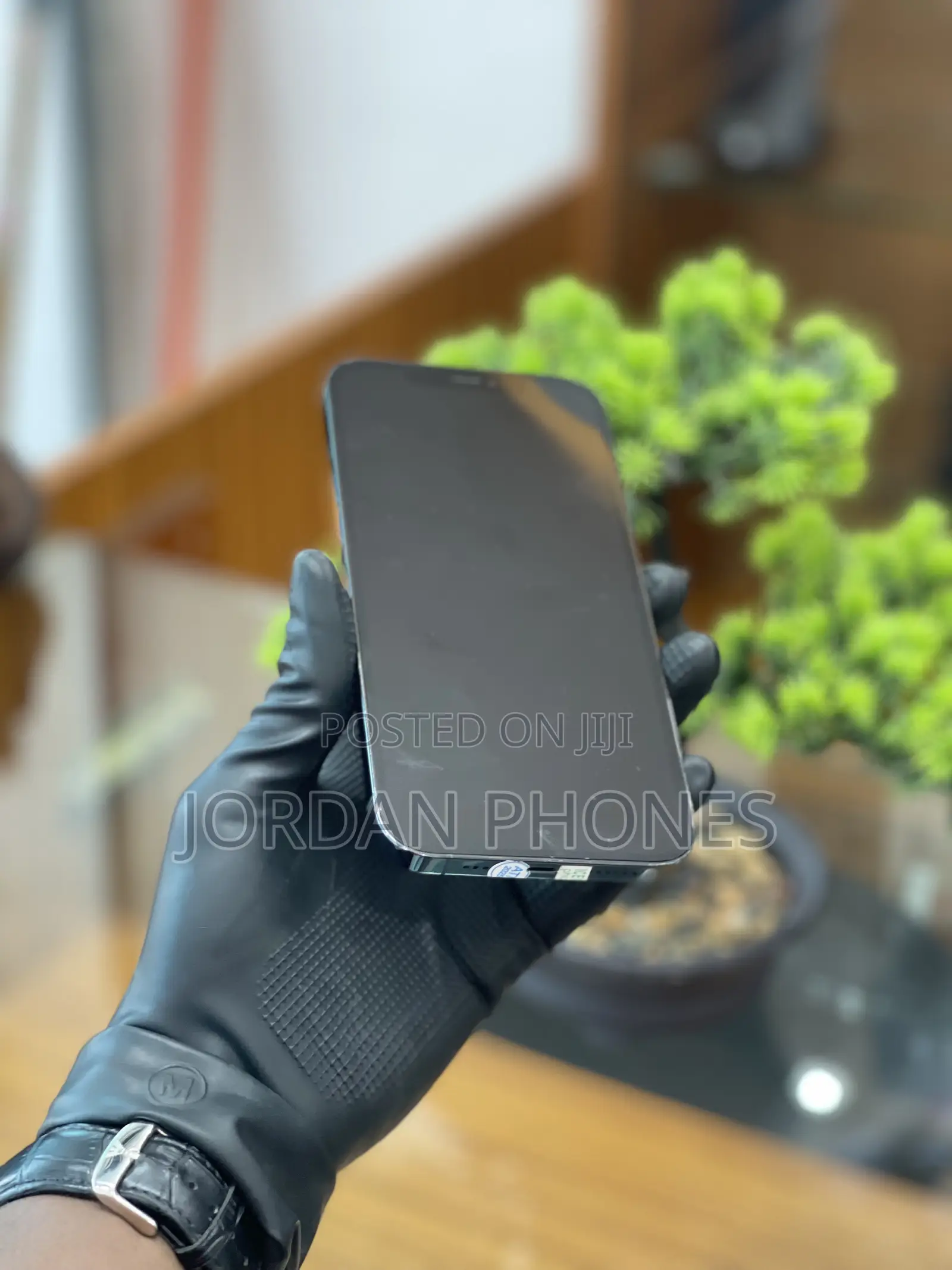 Apple iPhone 12 Pro Max 256 GB Blue