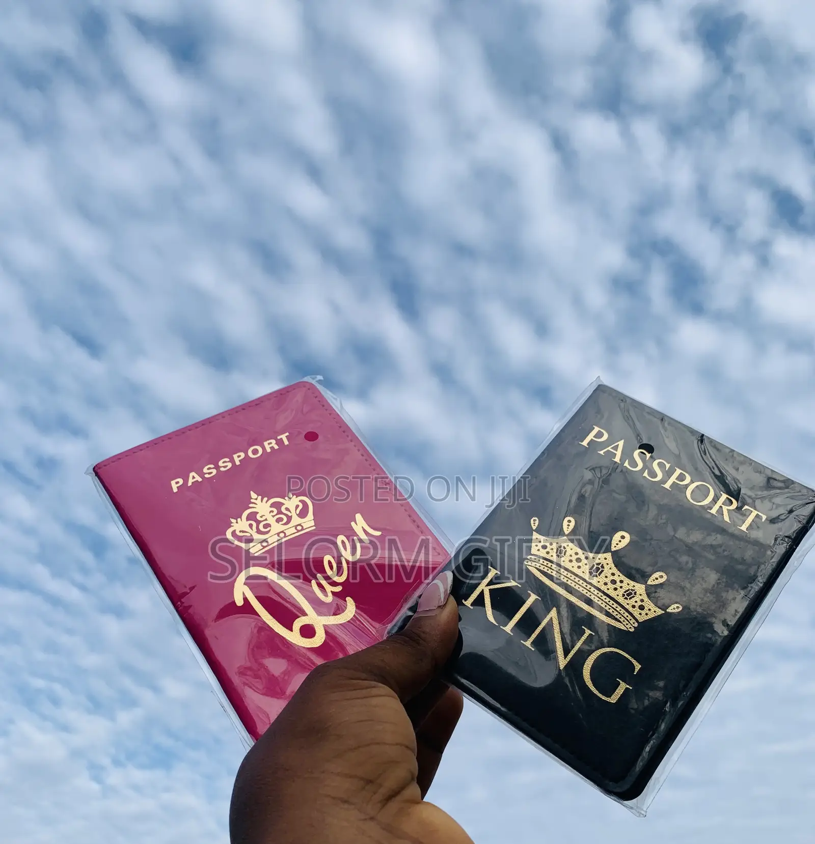Nice Designed Leather Passport Covers in Different Colors