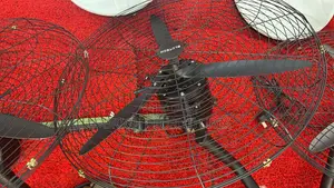 Industrial Wall Fan 26 Inches High Quality and Durable