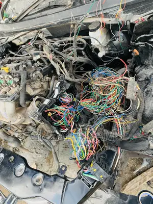 Auto Electrician