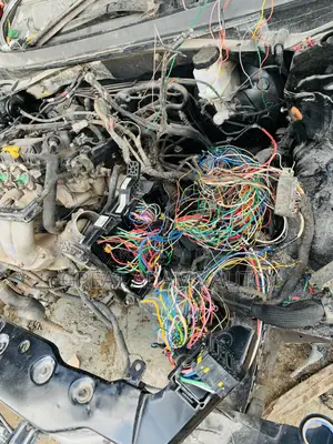 Auto Electrician