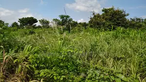 Central Region, (Ekumfi Essam) _ 200+ Acres Farmland