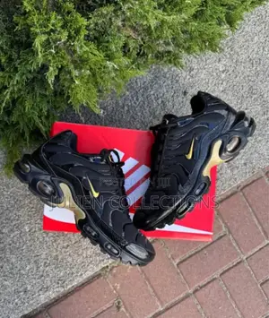 Nike Air Max Tn Trainers Black and Gold