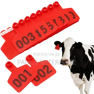 Cow Ear Tag Wholesale Retail
