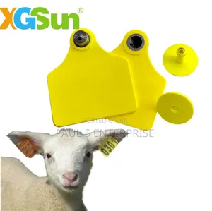 Goat Ear Tags Wholesale and Retail