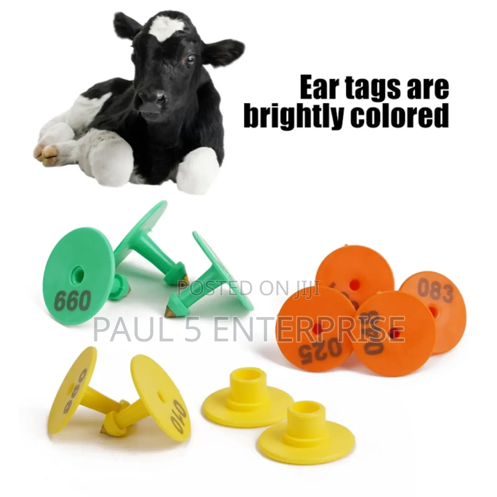 Goat Ear Tag Wholesale and Retail