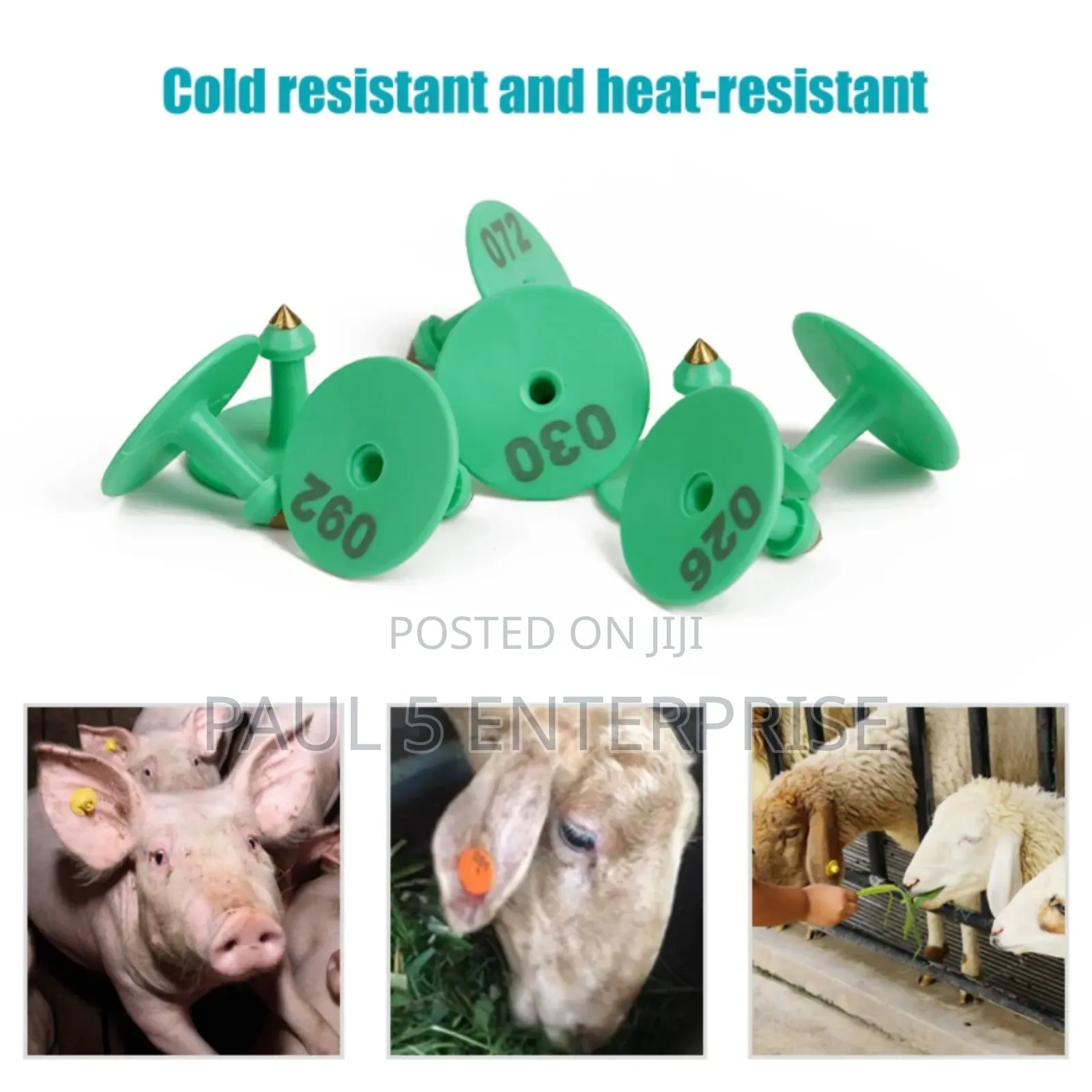 Goat Ear Tag Wholesale and Retail