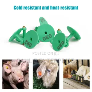 Goat Ear Tag Wholesale and Retail